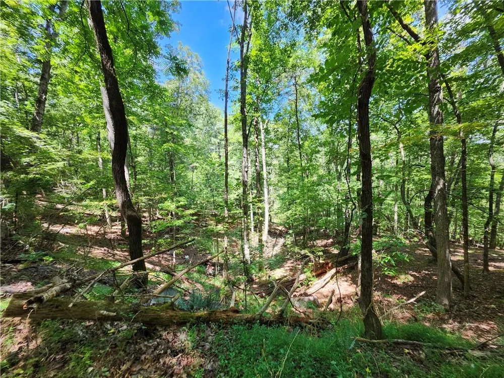 0 Deer Run Drive Dahlonega, GA 30533