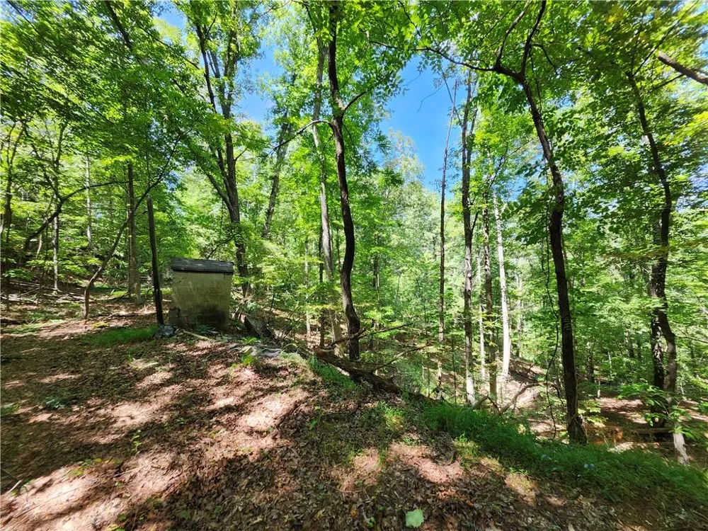 0 Deer Run Drive Dahlonega, GA 30533