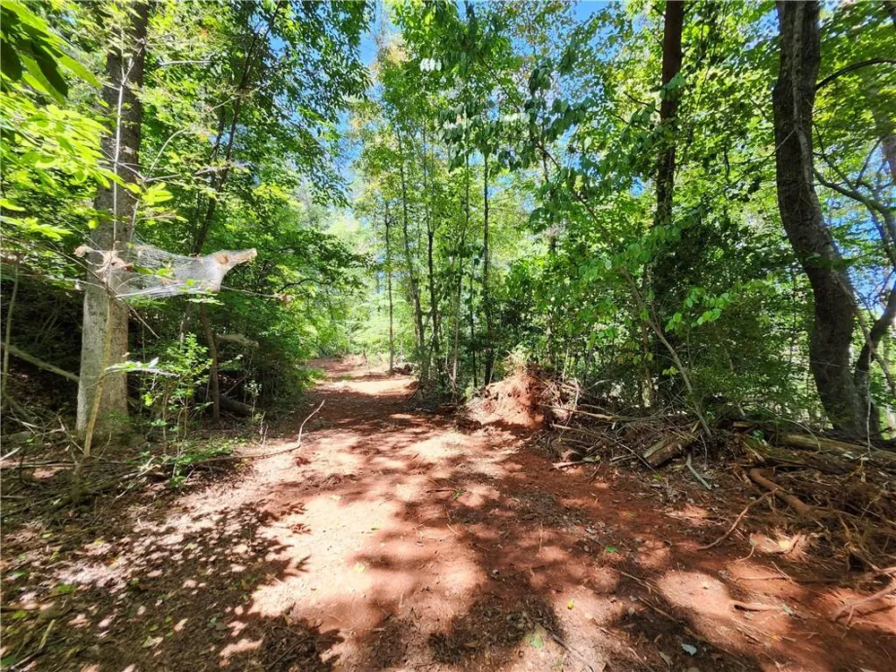 0 Deer Run Drive Dahlonega, GA 30533