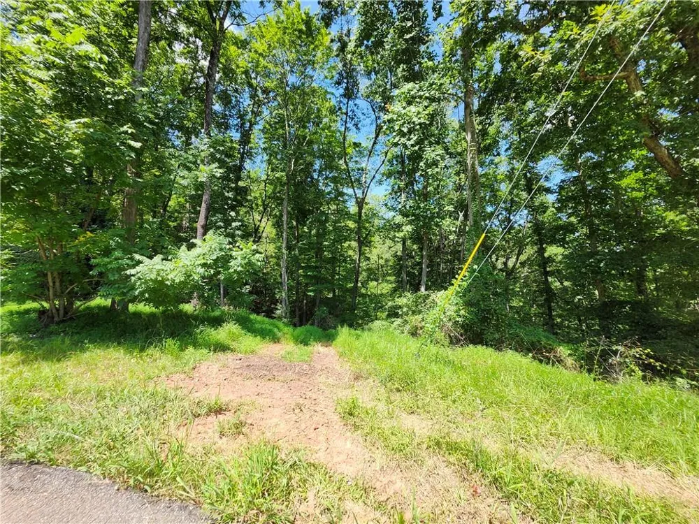 0 Deer Run Drive Dahlonega, GA 30533