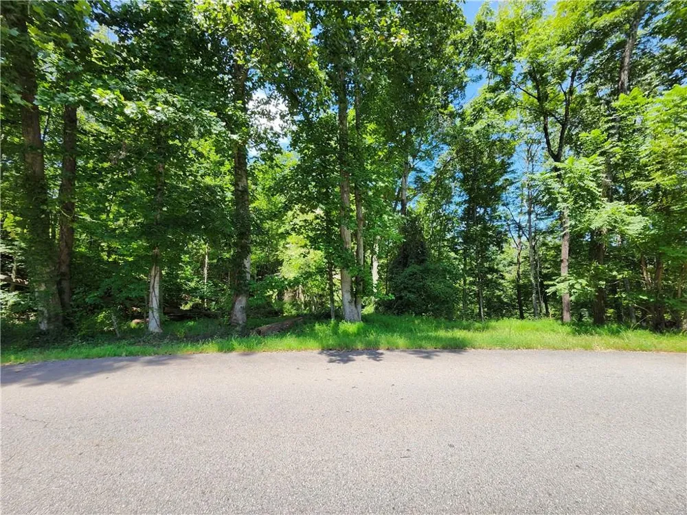 0 Deer Run Drive Dahlonega, GA 30533
