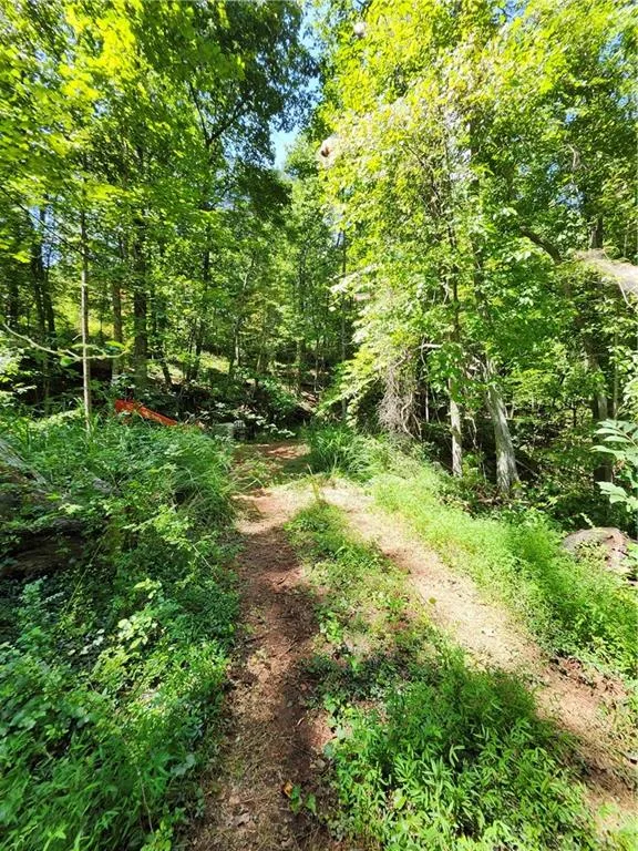 0 Deer Run Drive Dahlonega, GA 30533
