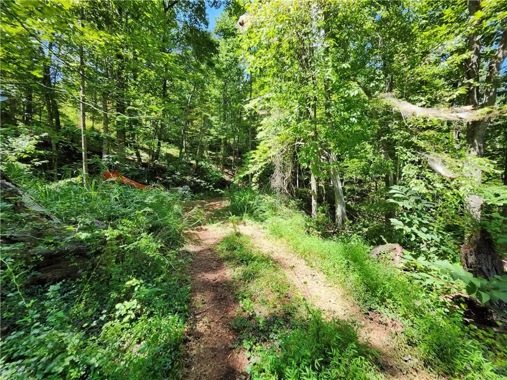 0 Deer Run Drive Dahlonega, GA 30533