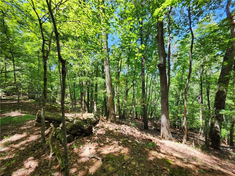 0 Deer Run Drive Dahlonega, GA 30533