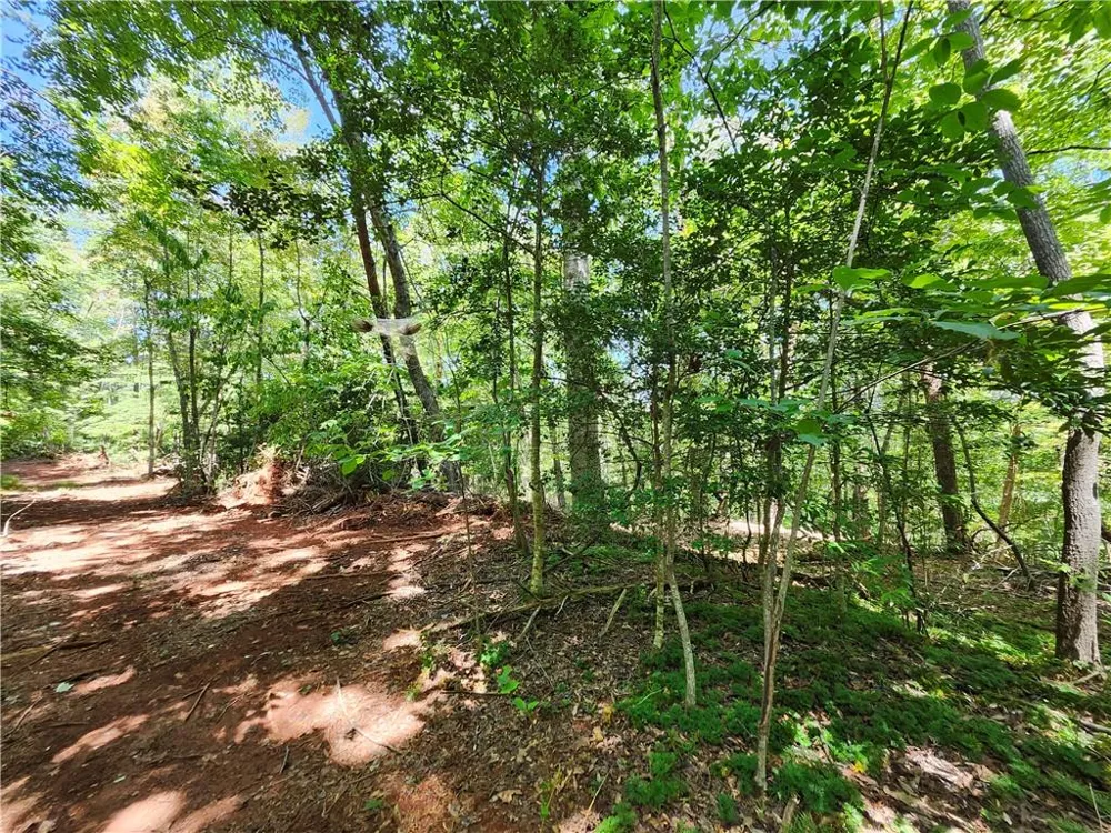 0 Deer Run Drive Dahlonega, GA 30533