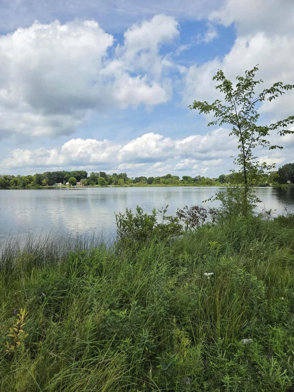 18541 26 1/2 Mile Road Albion, MI 49224