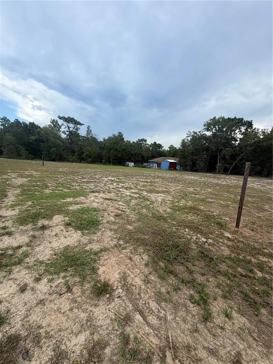TBD SE 126TH STREET Belleview, FL 34420