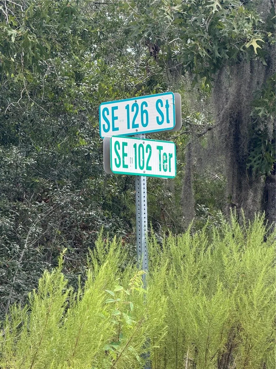TBD SE 126TH STREET Belleview, FL 34420