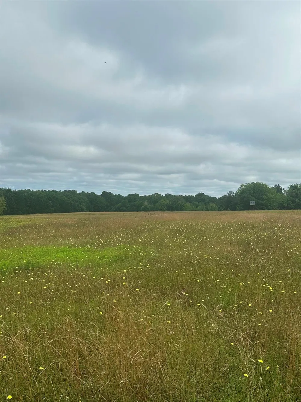 10740 Shepard Hill Road Willis, TX 77318