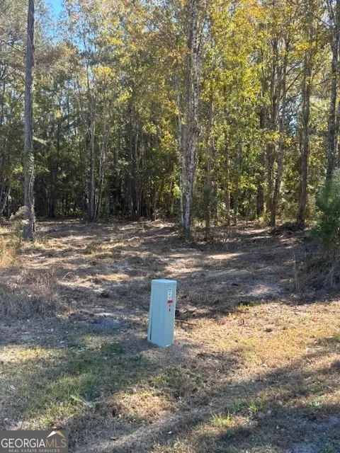 136 Herrin RD Woodbine, GA 31569