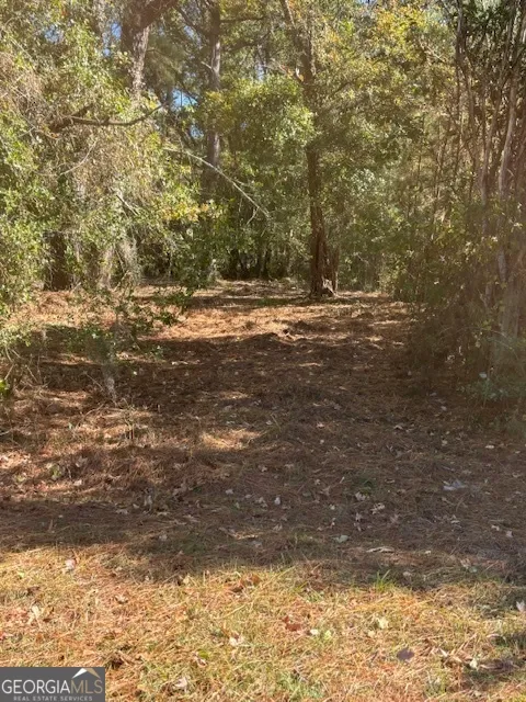 136 Herrin RD Woodbine, GA 31569