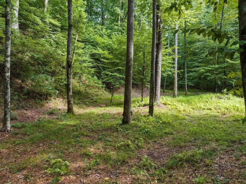 434 Lemmon Drive Ellijay, GA 30540