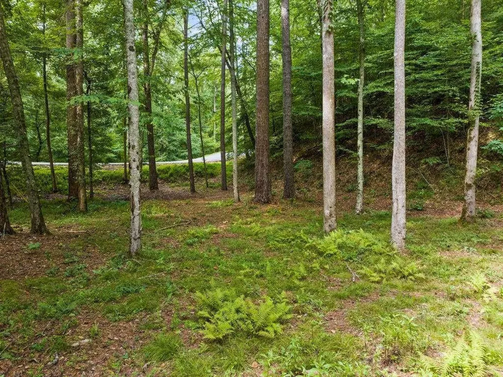 434 Lemmon Drive Ellijay, GA 30540