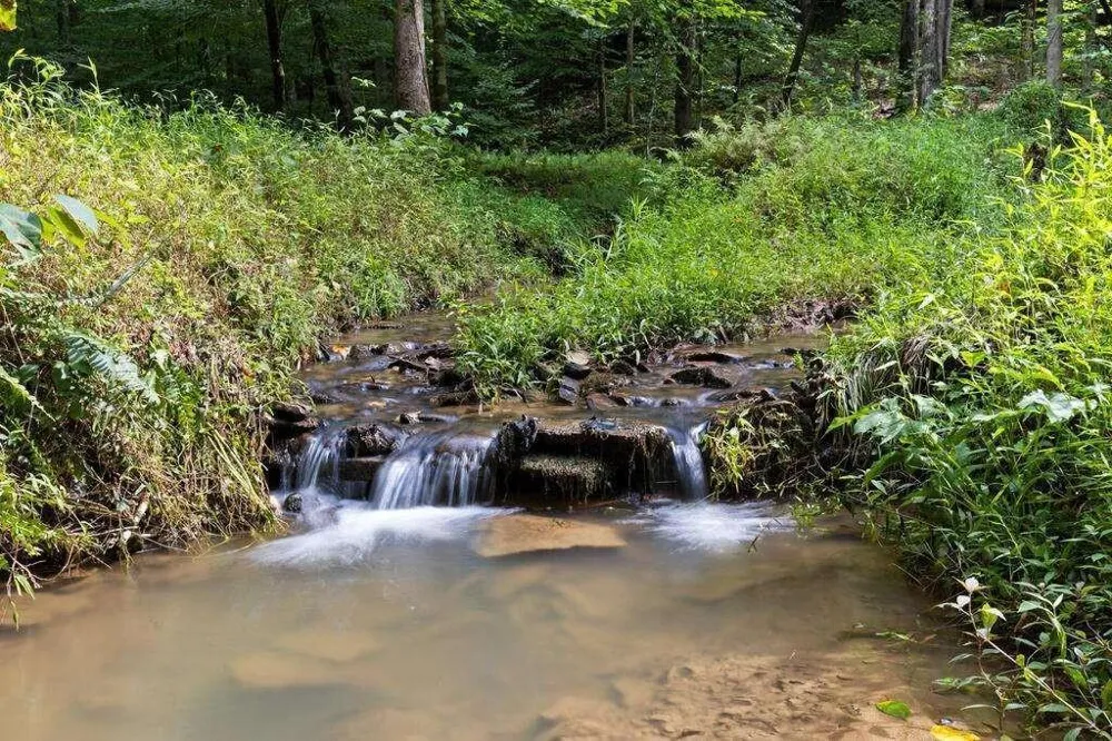 434 Lemmon Drive Ellijay, GA 30540