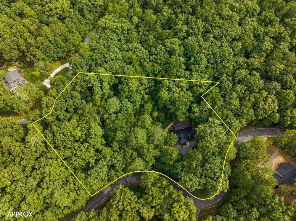 434 Lemmon Drive Ellijay, GA 30540