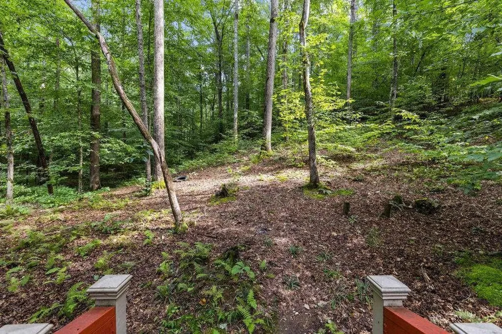 434 Lemmon Drive Ellijay, GA 30540
