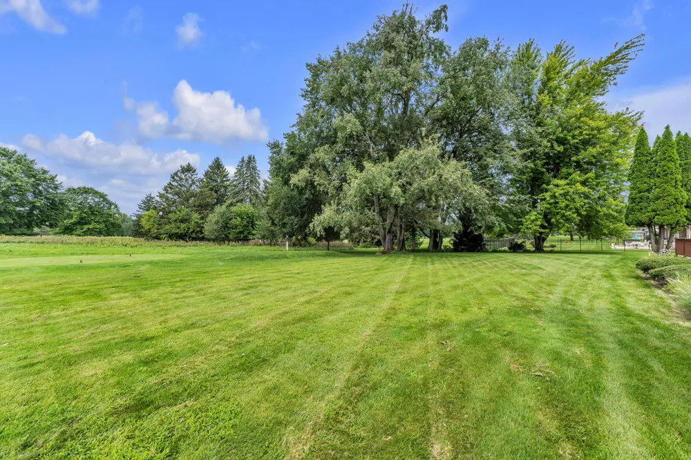 8786 Loire Valley Drive Tecumseh, MI 49286