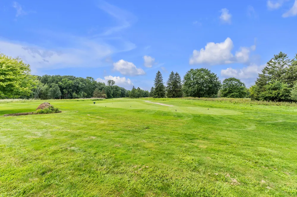 8786 Loire Valley Drive Tecumseh, MI 49286