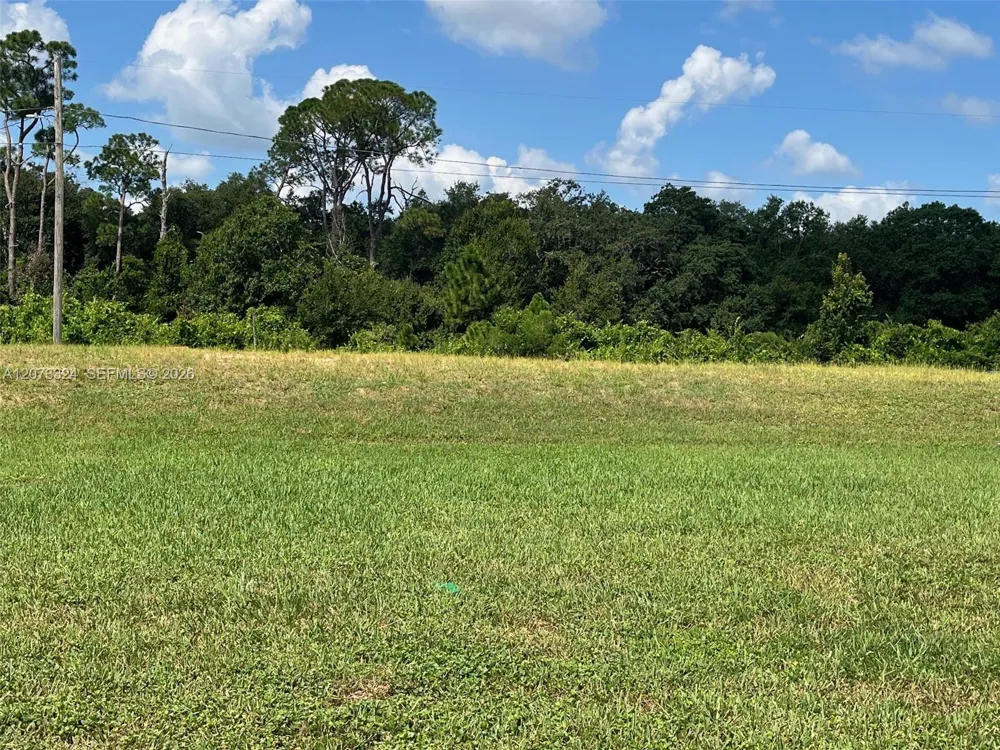 1050 Lake Carrie Dr Lake Placid, FL 33852