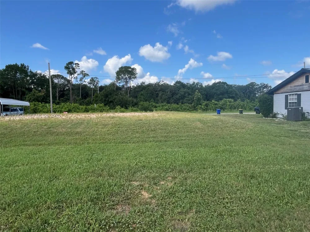 1050 Lake Carrie Dr Lake Placid, FL 33852