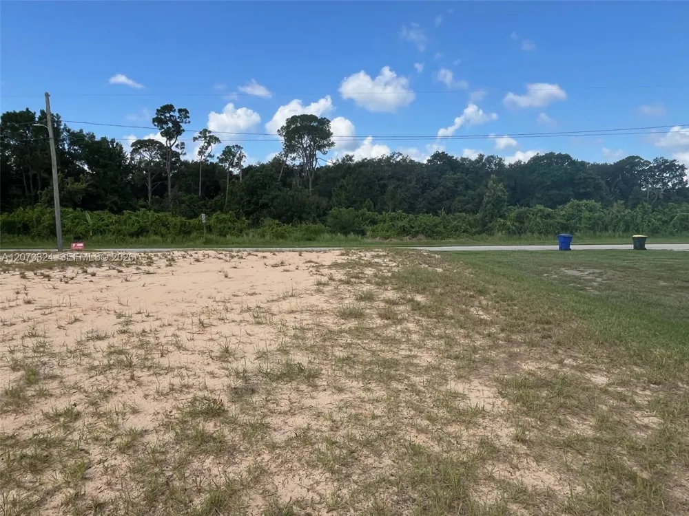 1050 Lake Carrie Dr Lake Placid, FL 33852