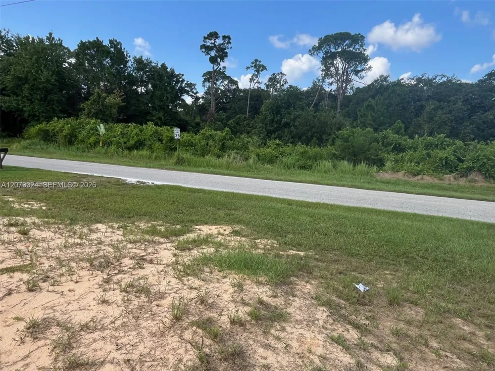 1050 Lake Carrie Dr Lake Placid, FL 33852