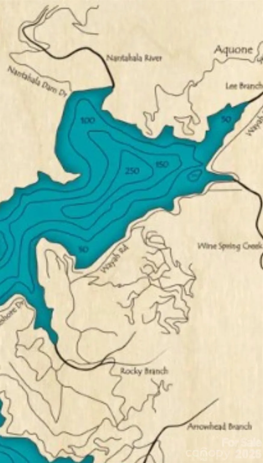 Lot 12 Whispering Springs Lane Topton, NC 28781