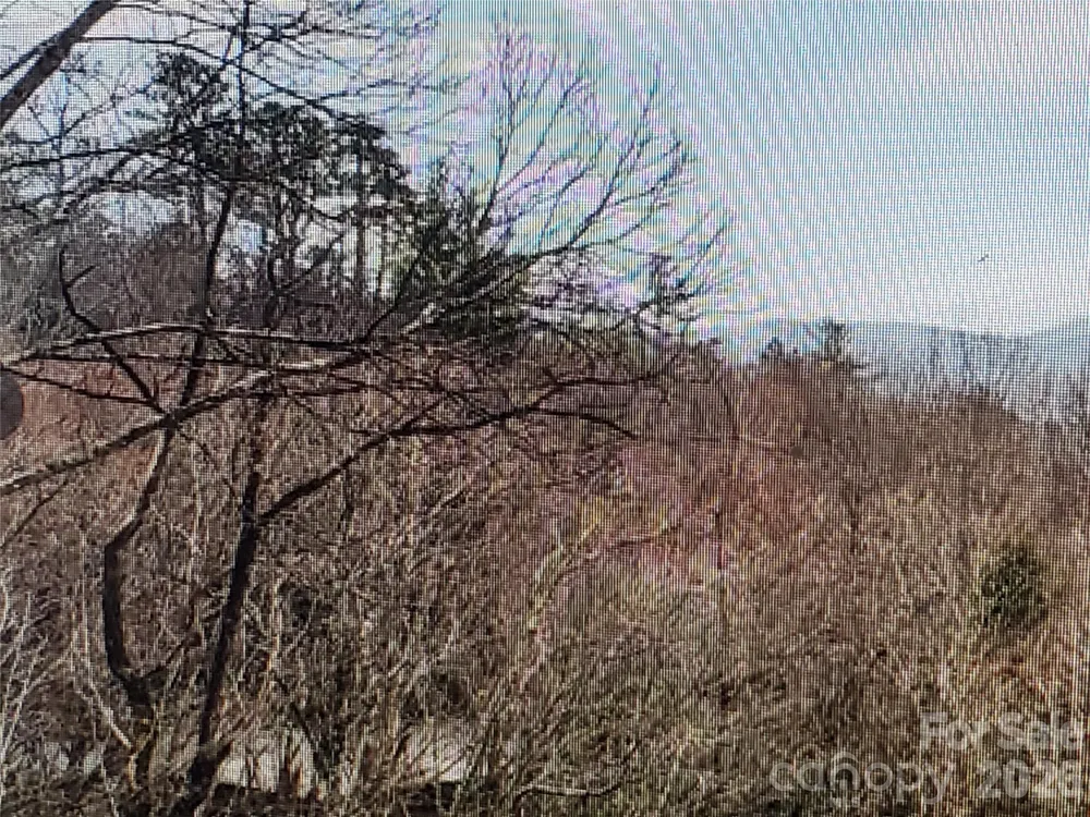 Lot 12 Whispering Springs Lane Topton, NC 28781