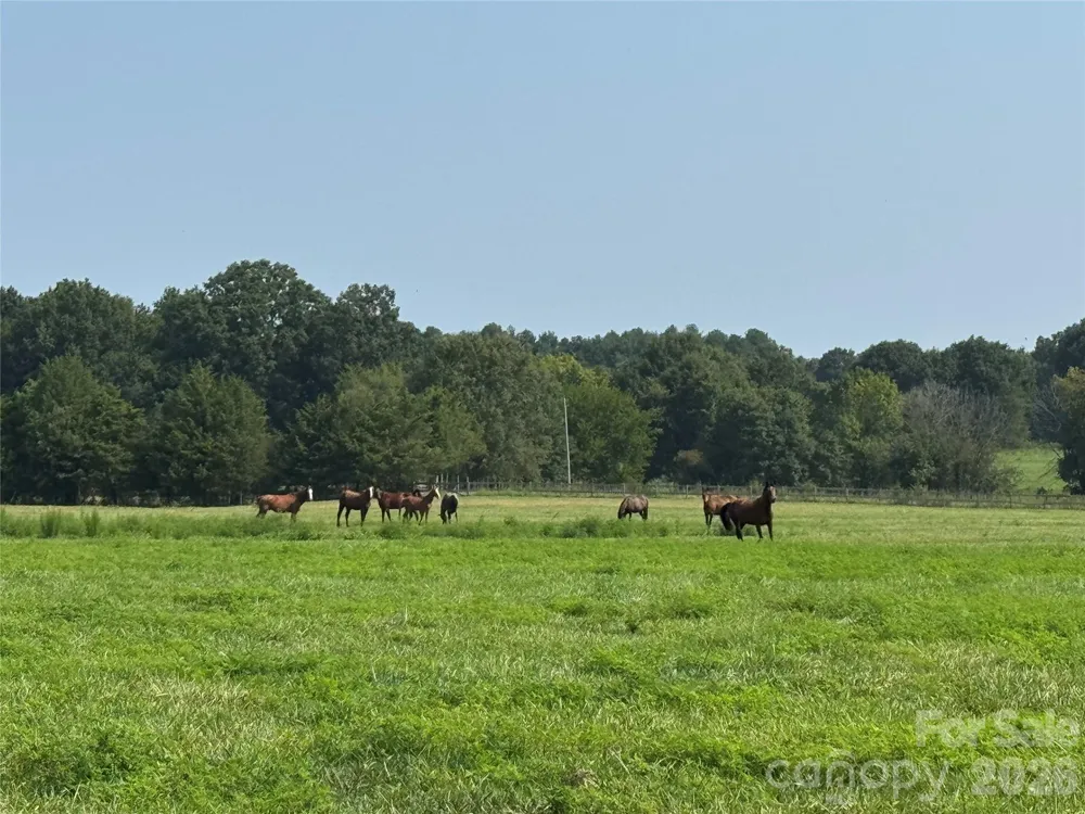 12917 Austin Road Locust, NC 28097