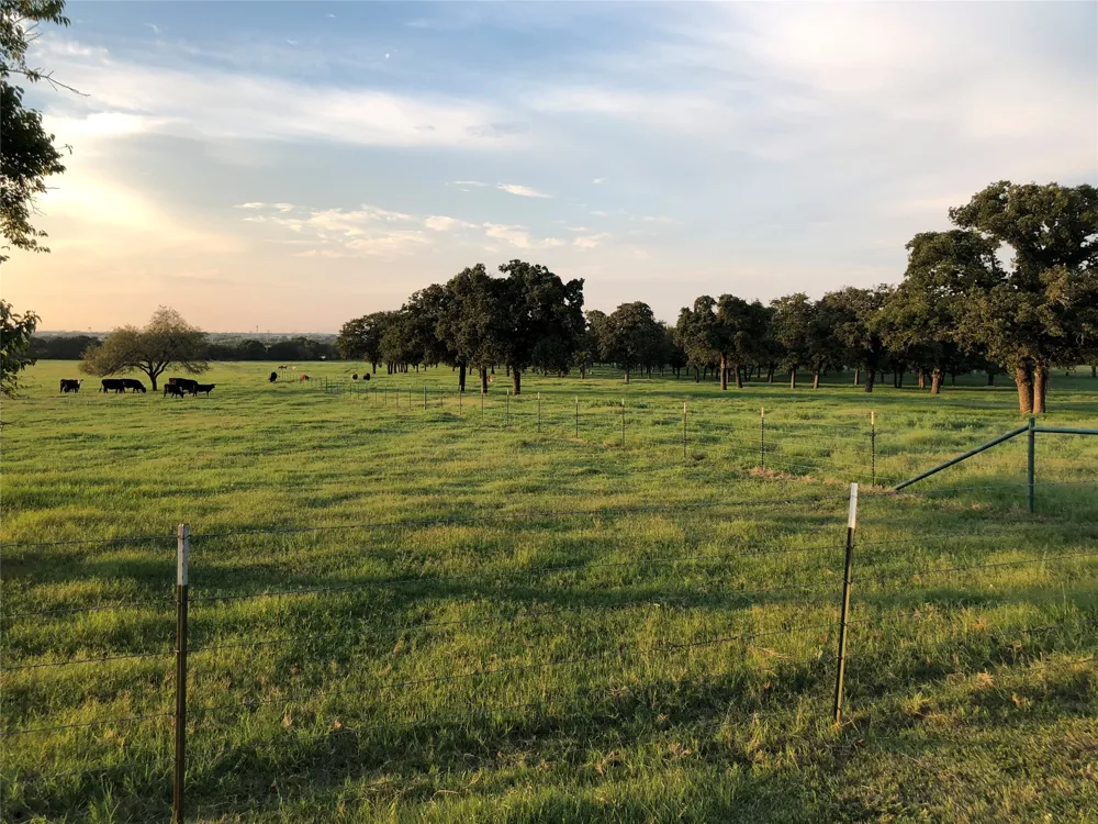 537 Edgewood Lane Cleburne, TX 76031