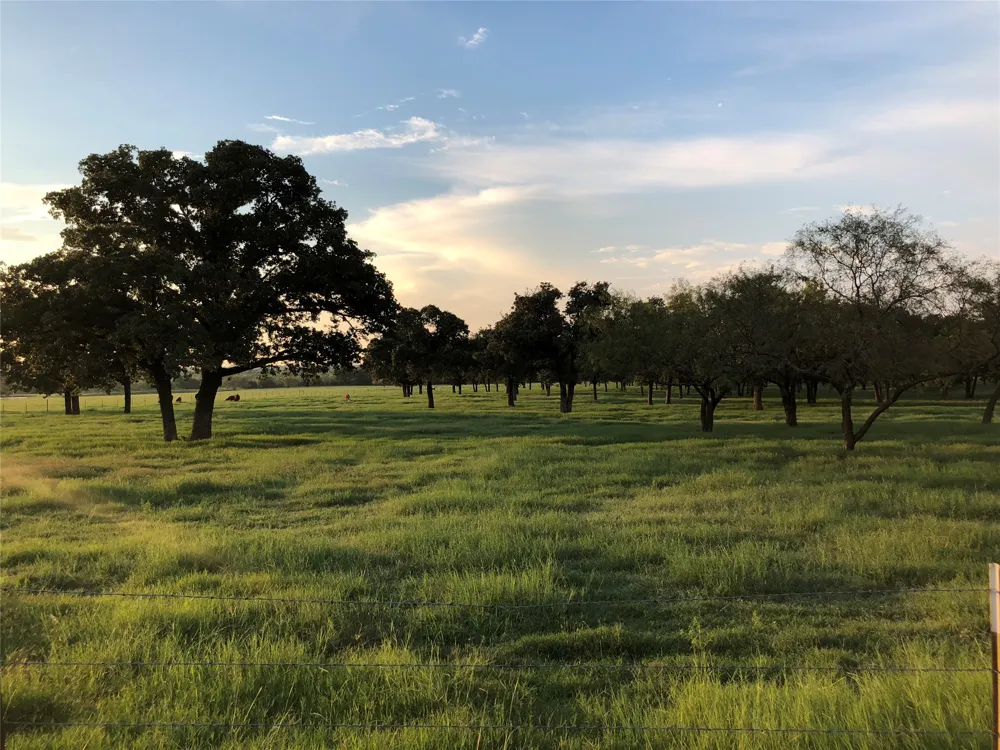 537 Edgewood Lane Cleburne, TX 76031