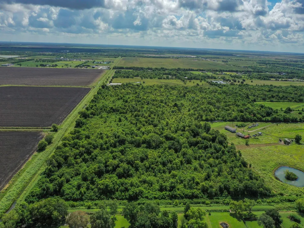 6 Fm 1462 Rosharon, TX 77583