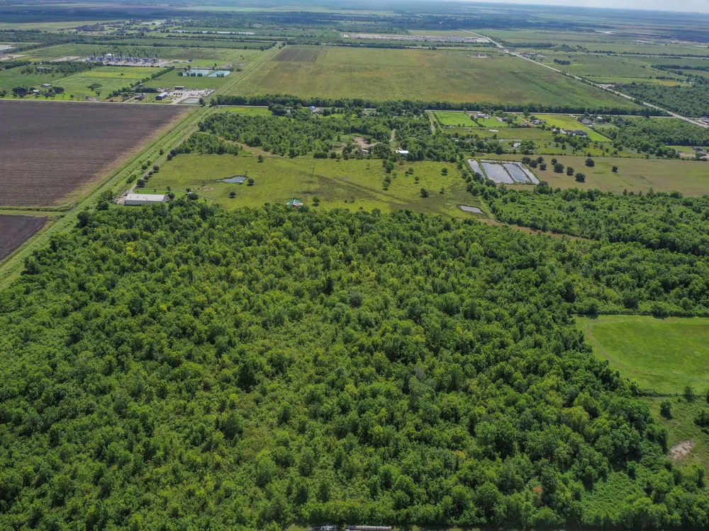 8 Fm 1462 Rosharon, TX 77583
