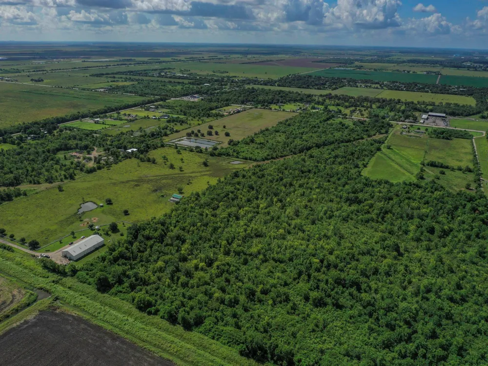 8 Fm 1462 Rosharon, TX 77583