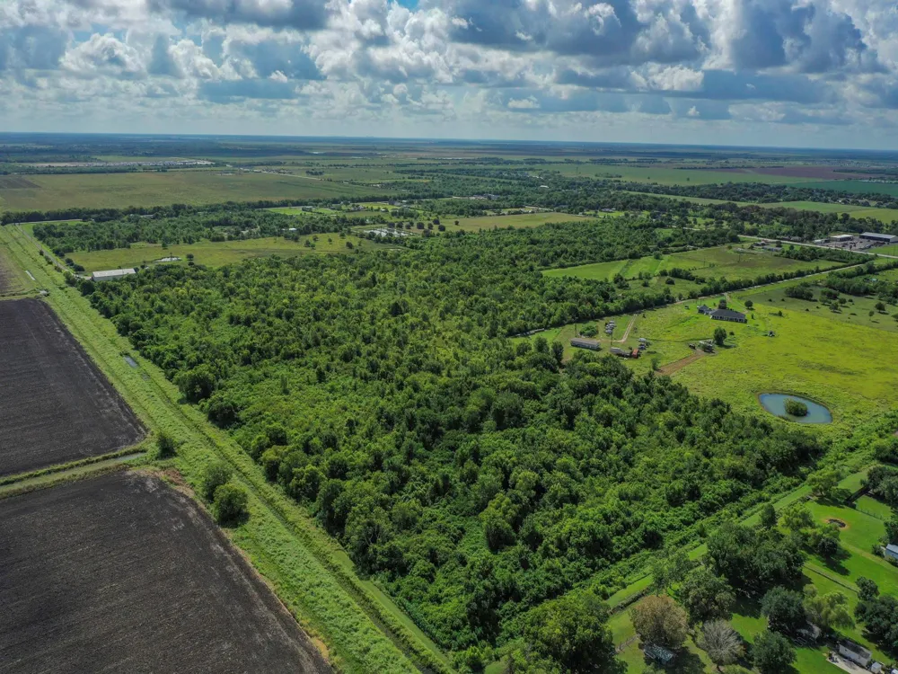 8 Fm 1462 Rosharon, TX 77583