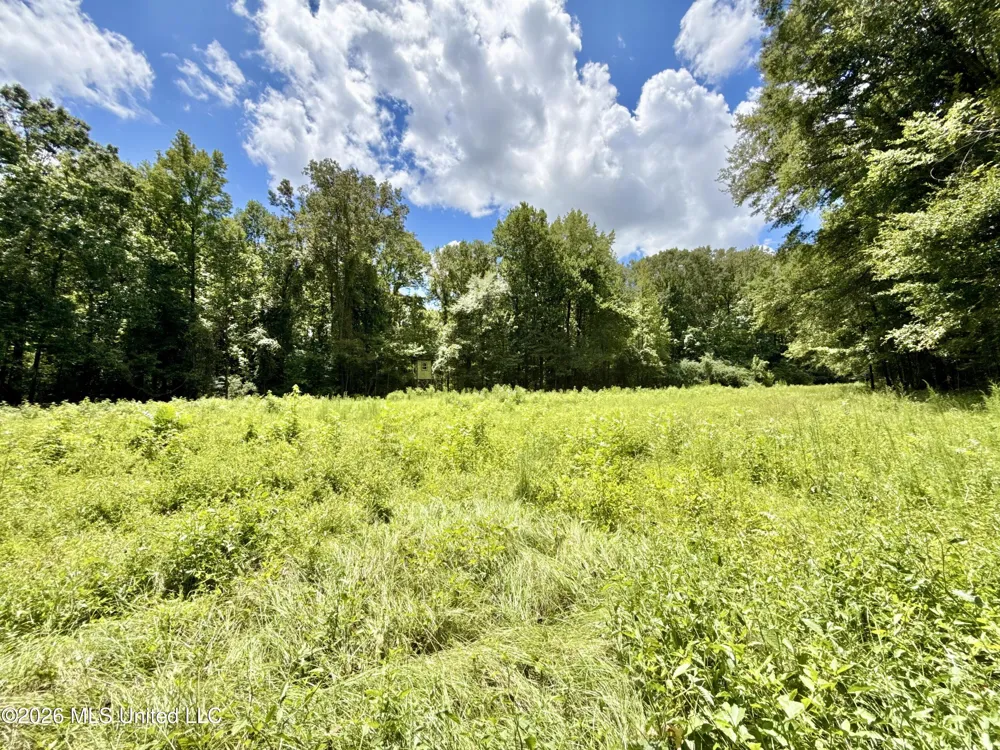 2078 Upton Road Crystal Springs, MS 39059