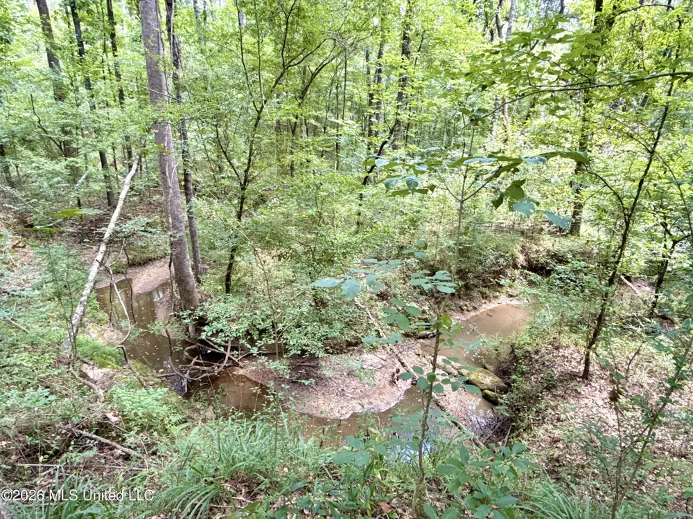 2078 Upton Road Crystal Springs, MS 39059