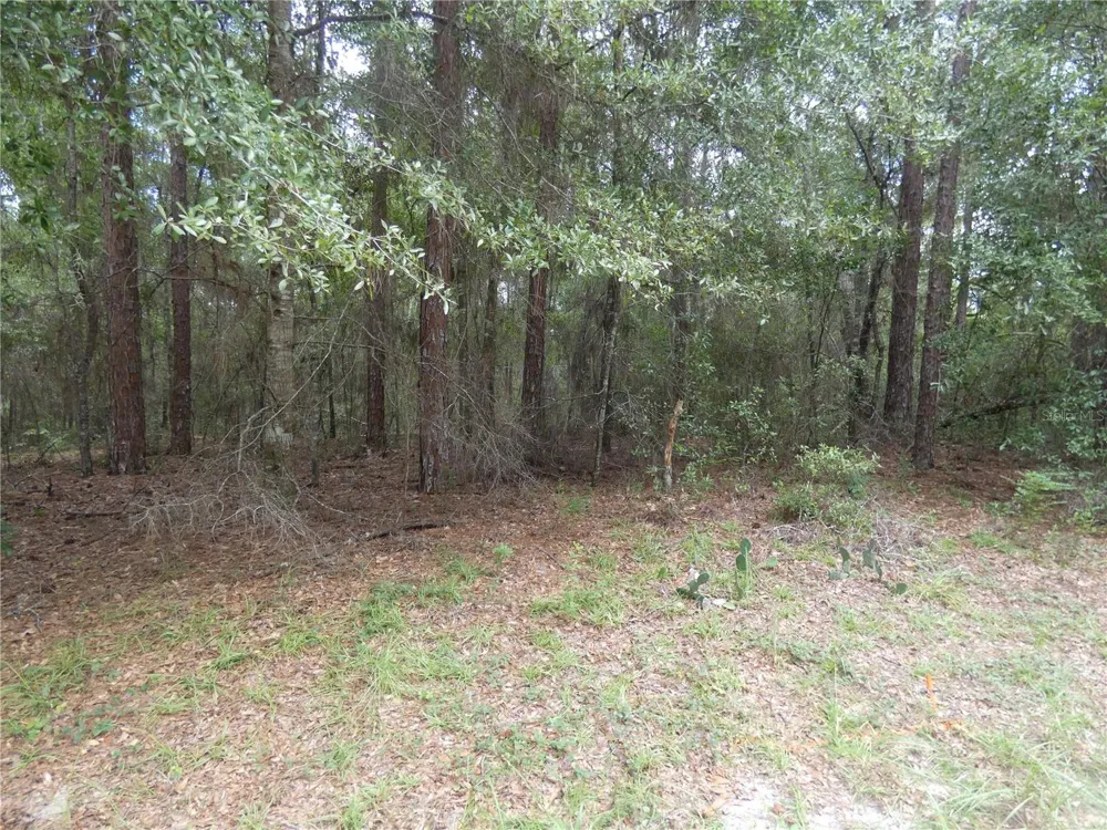 10049 BISCAYNE DRIVE Citrus Springs, FL 34434