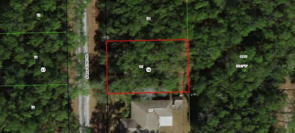 10049 BISCAYNE DRIVE Citrus Springs, FL 34434