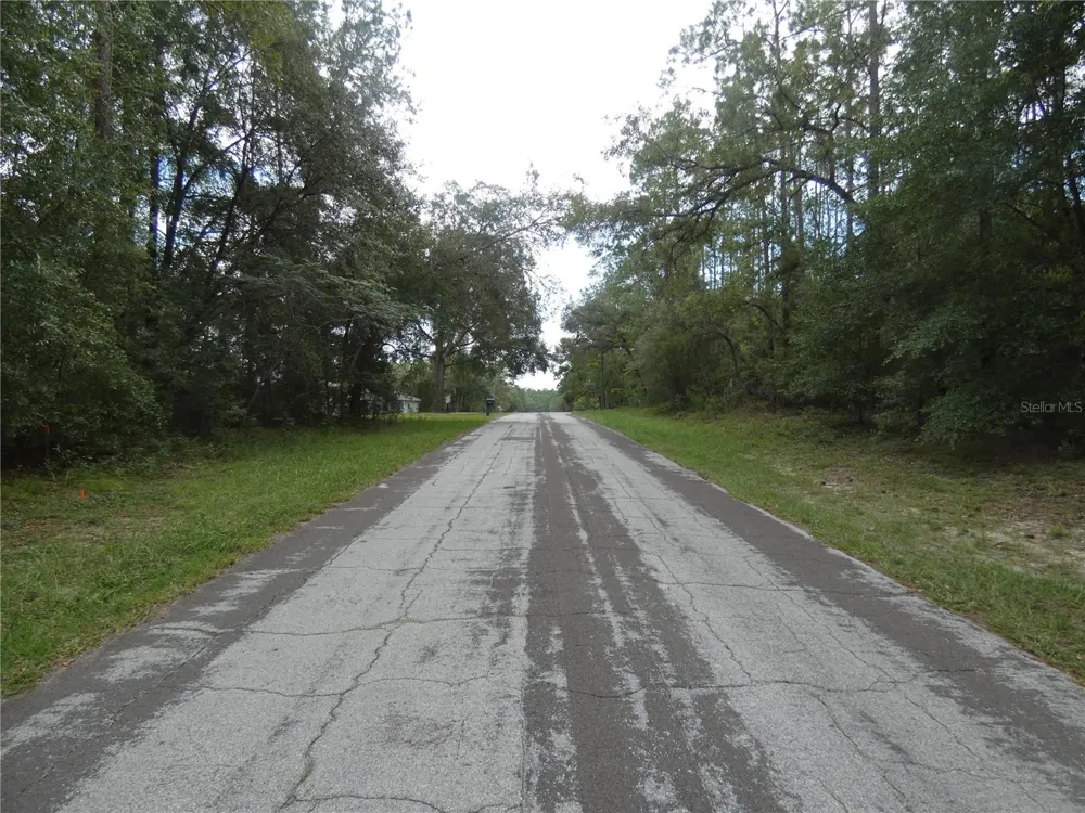 10049 BISCAYNE DRIVE Citrus Springs, FL 34434