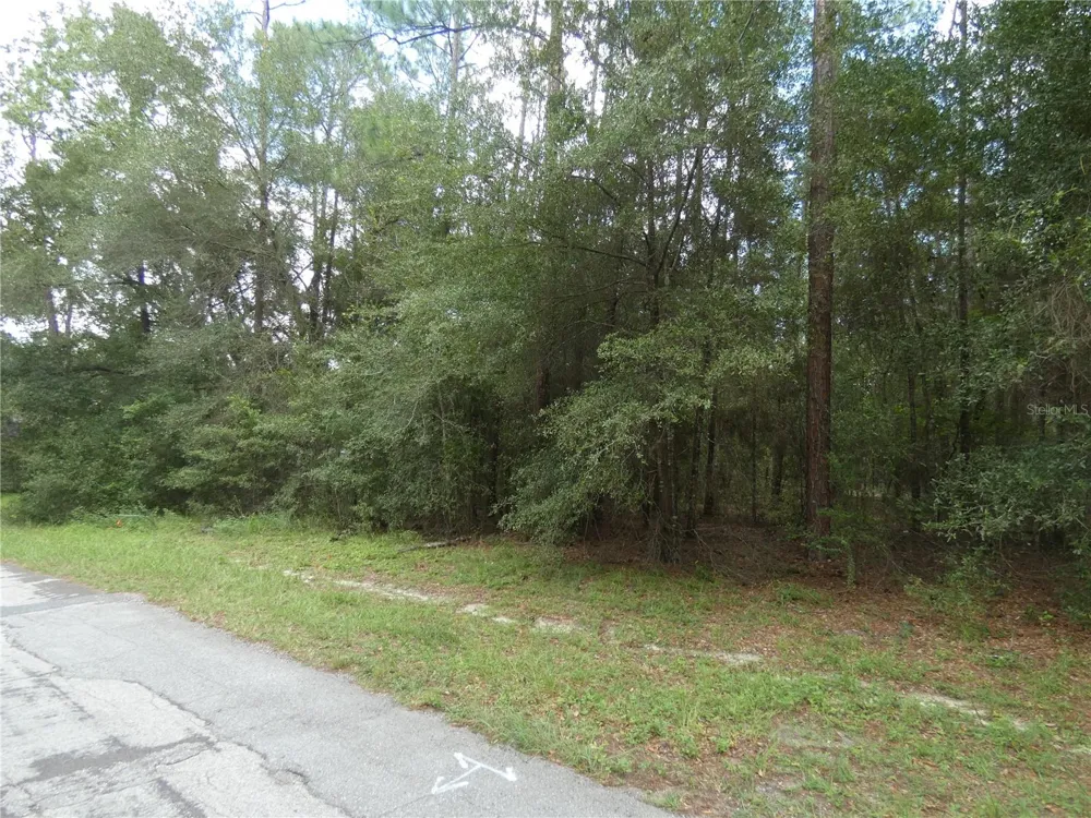 10049 BISCAYNE DRIVE Citrus Springs, FL 34434