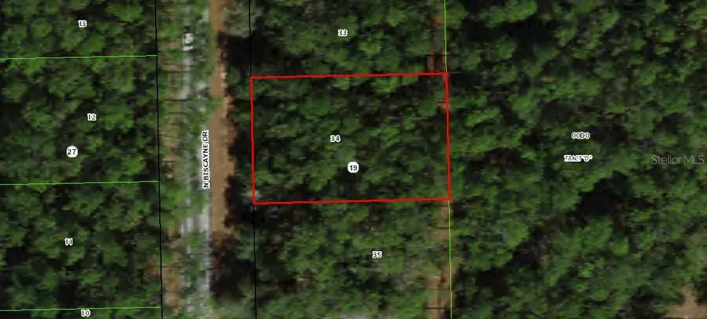 10061 BISCAYNE DRIVE Citrus Springs, FL 34434
