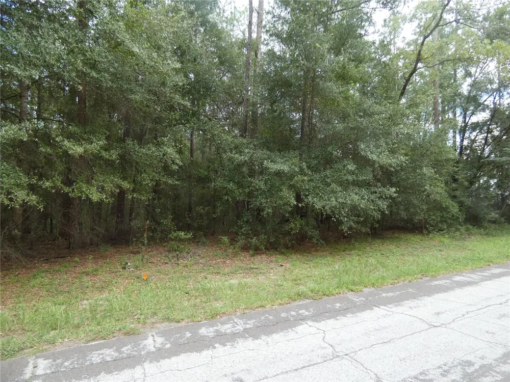 10061 BISCAYNE DRIVE Citrus Springs, FL 34434