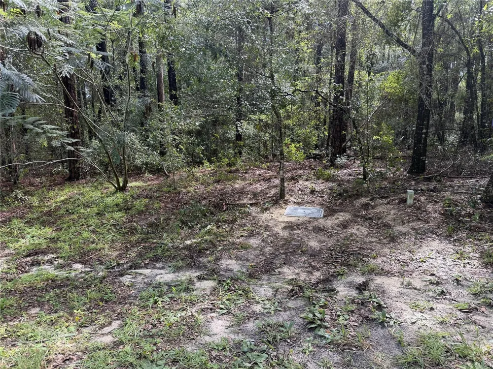 10061 BISCAYNE DRIVE Citrus Springs, FL 34434