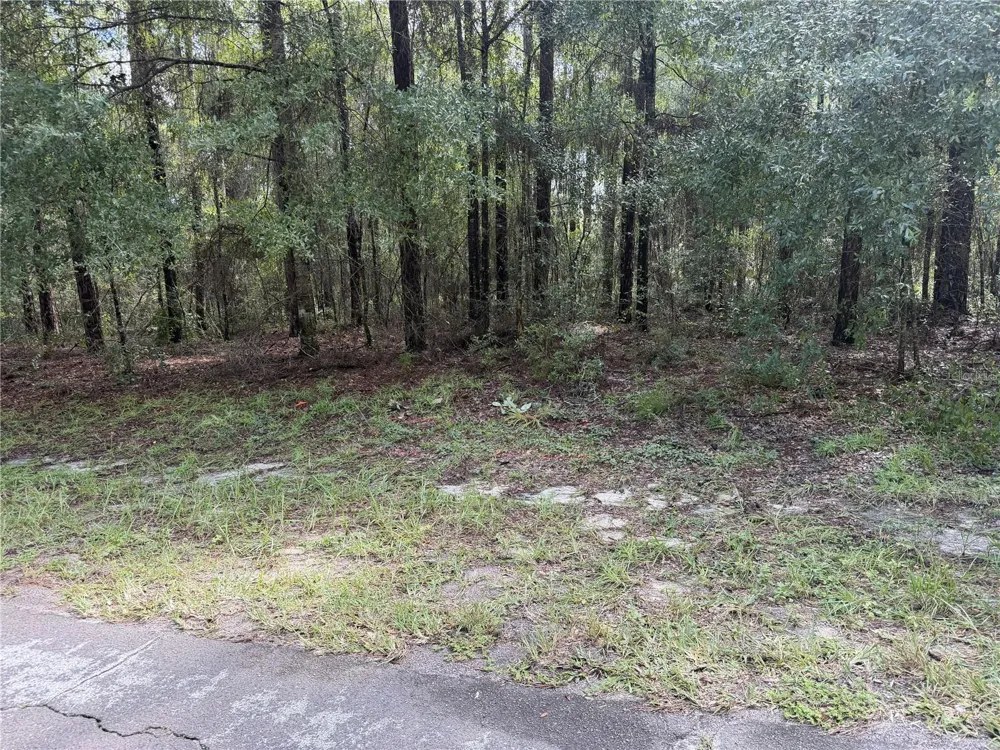 10061 BISCAYNE DRIVE Citrus Springs, FL 34434