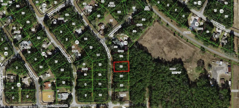 10075 BISCAYNE DRIVE Citrus Springs, FL 34434