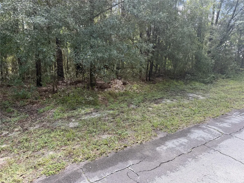 10075 BISCAYNE DRIVE Citrus Springs, FL 34434