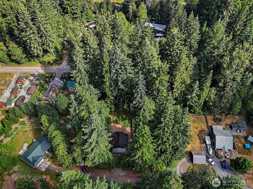 31219 555th Street E Ashford, WA 98304