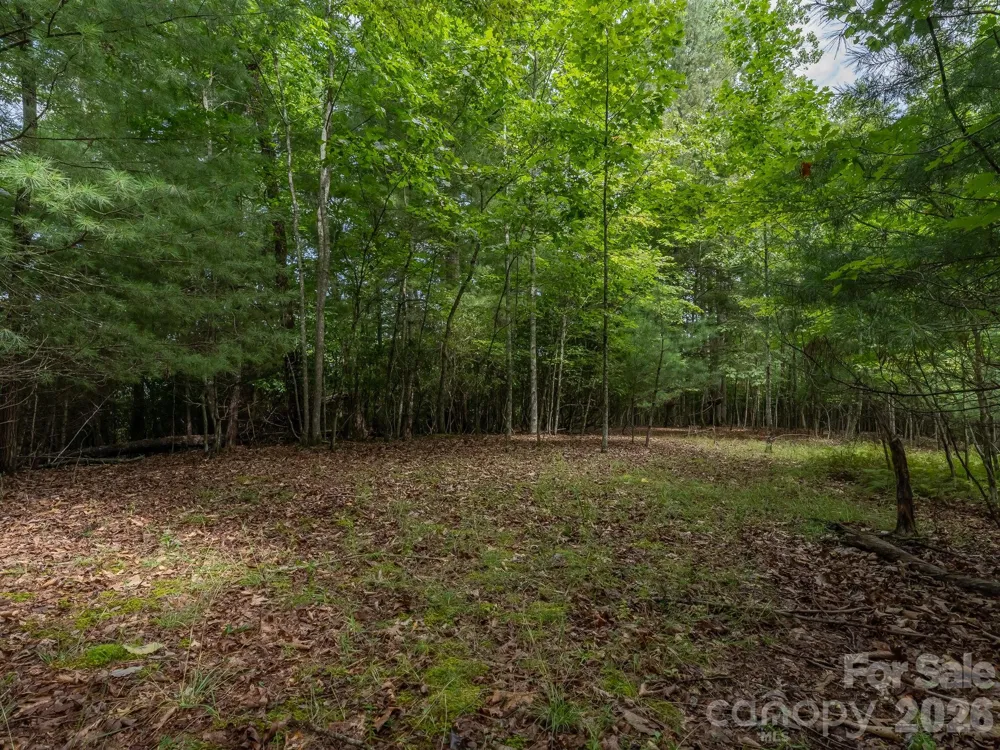 0 Hebron Road Hendersonville, NC 28792
