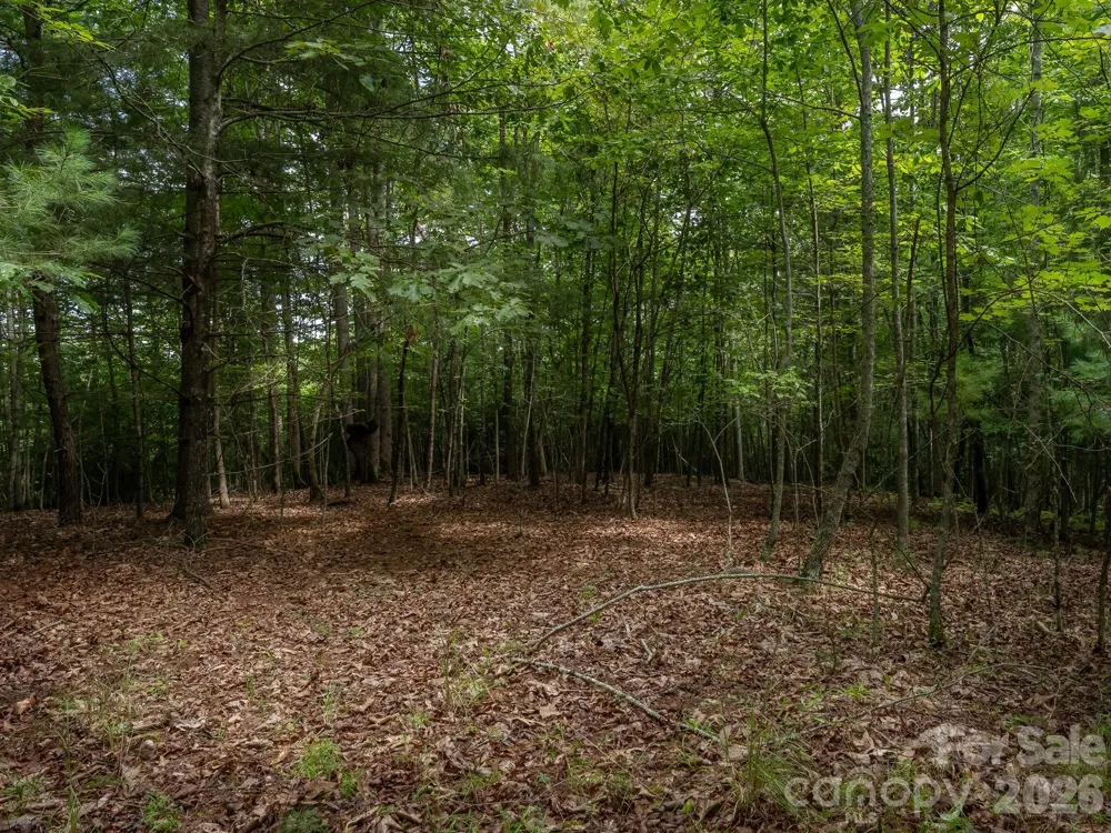 0 Hebron Road Hendersonville, NC 28792